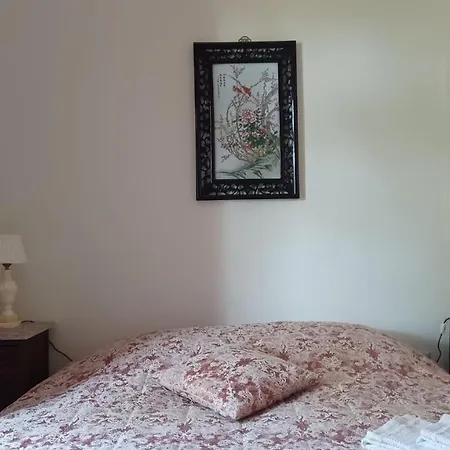 Quinta Da Lua Nova *