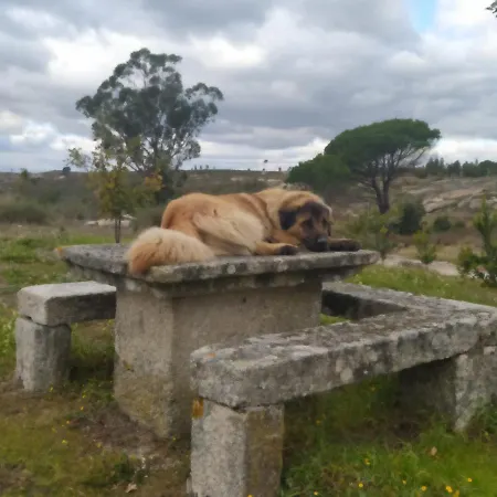 Quinta Da Lua Nova * Travancinha