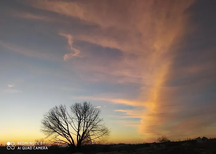 Quinta Da Lua Nova *