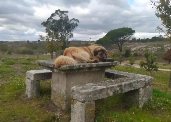 Quinta Da Lua Nova * Paranhos da Beira