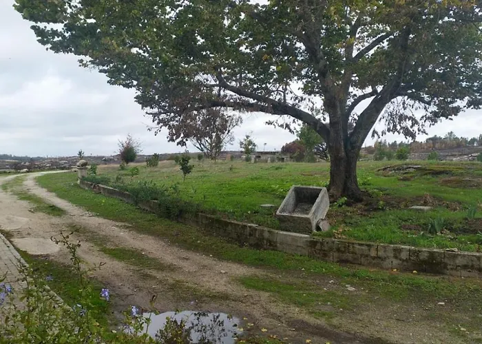 Alojamento de Acomodação e Pequeno-almoço Quinta Da Lua Nova