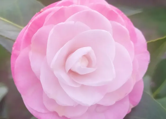 Alojamento de Acomodação e Pequeno-almoço Quinta Da Lua Nova *